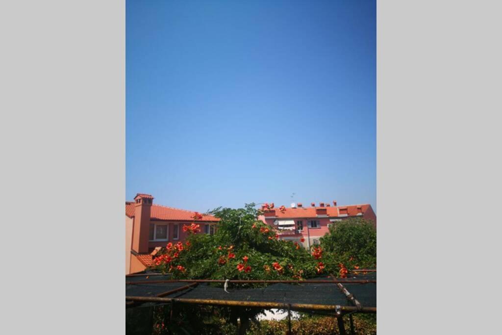 Apartmán Casa Di Nonna Pina, Kuca U Blizini Arene Pula Exteriér fotografie